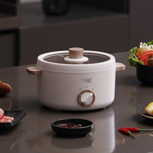 Mini Electric Cooker Cooking Pot