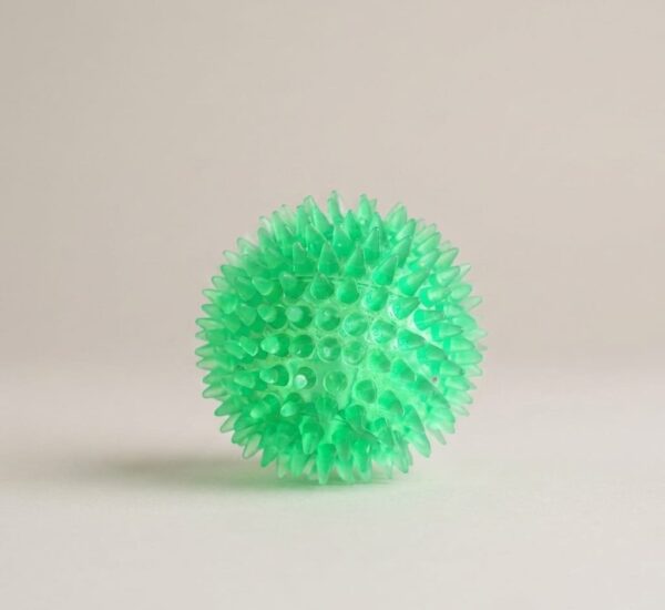 Interactive Pig Face Dog Ball